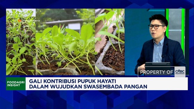 Video: How Biofertilisers Help Farmers Boost Rice and Corn Production