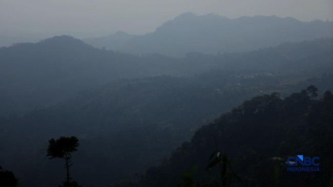 The Coffee Trail from Mount Wangun, West Java: Still a Hidden Gem