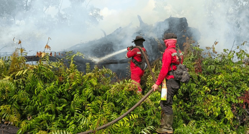 Four Forest and Land Fire Hotspots Still Being Extinguished in Riau