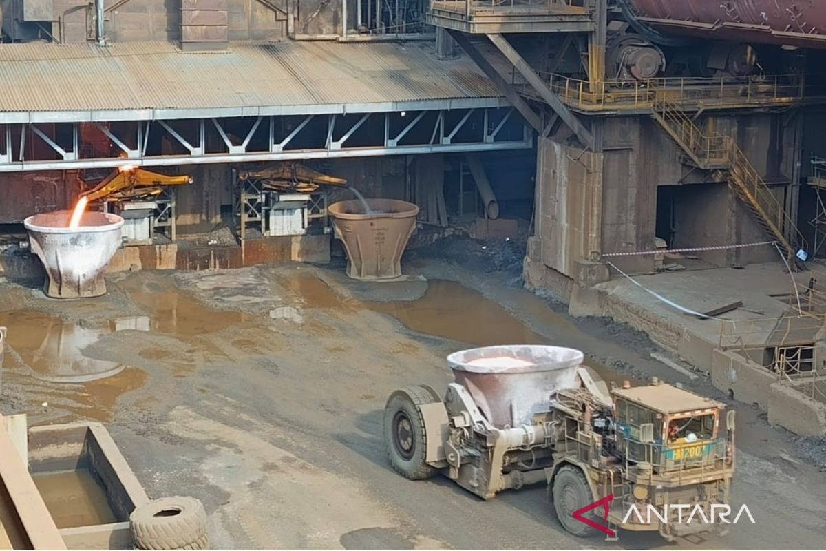 Economist: Nickel Downstreaming Must Be Balanced with Agricultural Export Strengthening