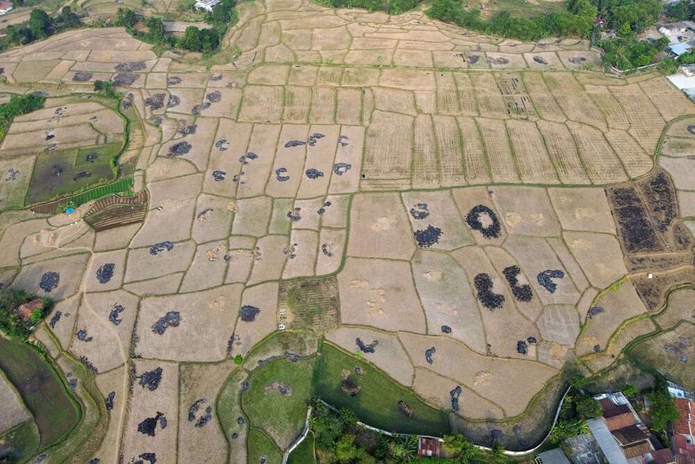 Gunungkidul BPBD Prepares Contingency Budget as Drought Funds Run Low