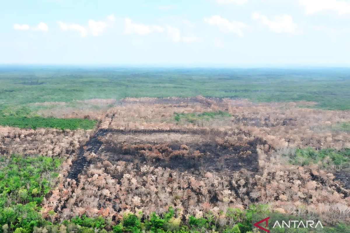 Forest Fire Task Force Extinguishes 8.5 Hectares of Land Fires in Sungai Rotan