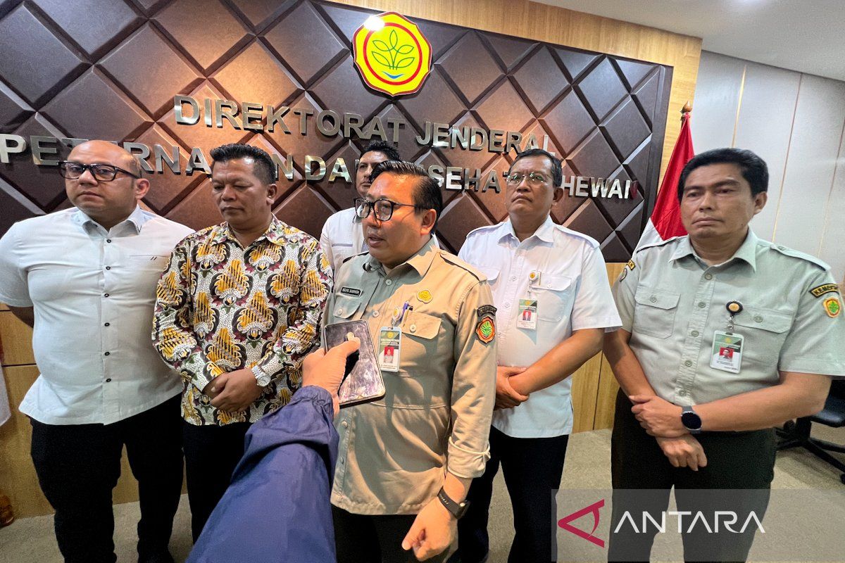 Agriculture Ministry Proposes Eggs for Government Food Reserve Scheme