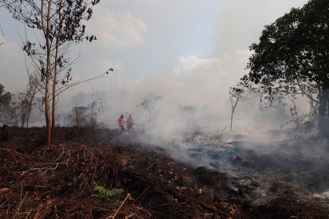 Forest and Land Fires in West Aceh Spread to Six Districts, Consuming 21 Hectares