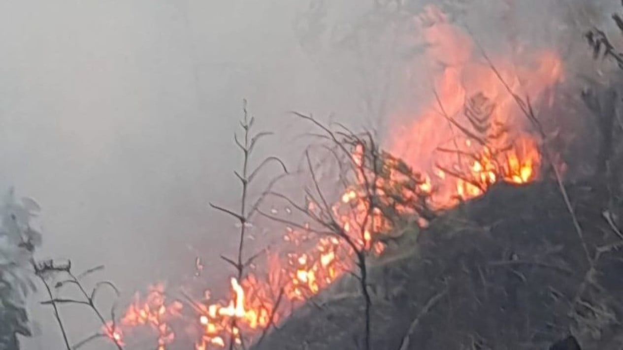 Bromo Access Partially Closed Due to Bantengan Block Forest Fire