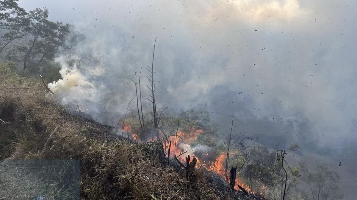 Bromo Forest Fire Forces Closure of Three Tourist Access Points
