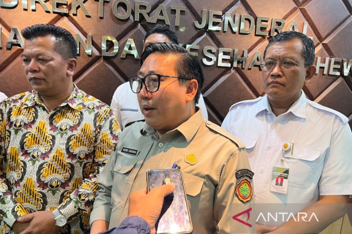 Agriculture Ministry and Feed Industry Delay Price Hike to Protect Poultry Farmers