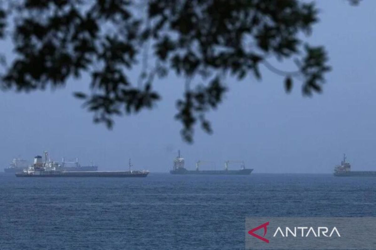 Cargo ship struck by unknown projectile off the coast of Oman