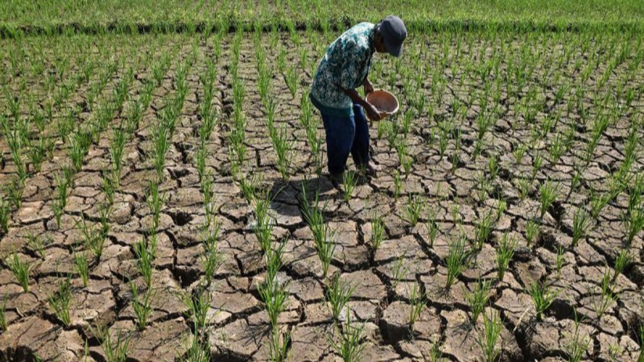 BMKG: July 2026 Declared Driest July in 35 Years