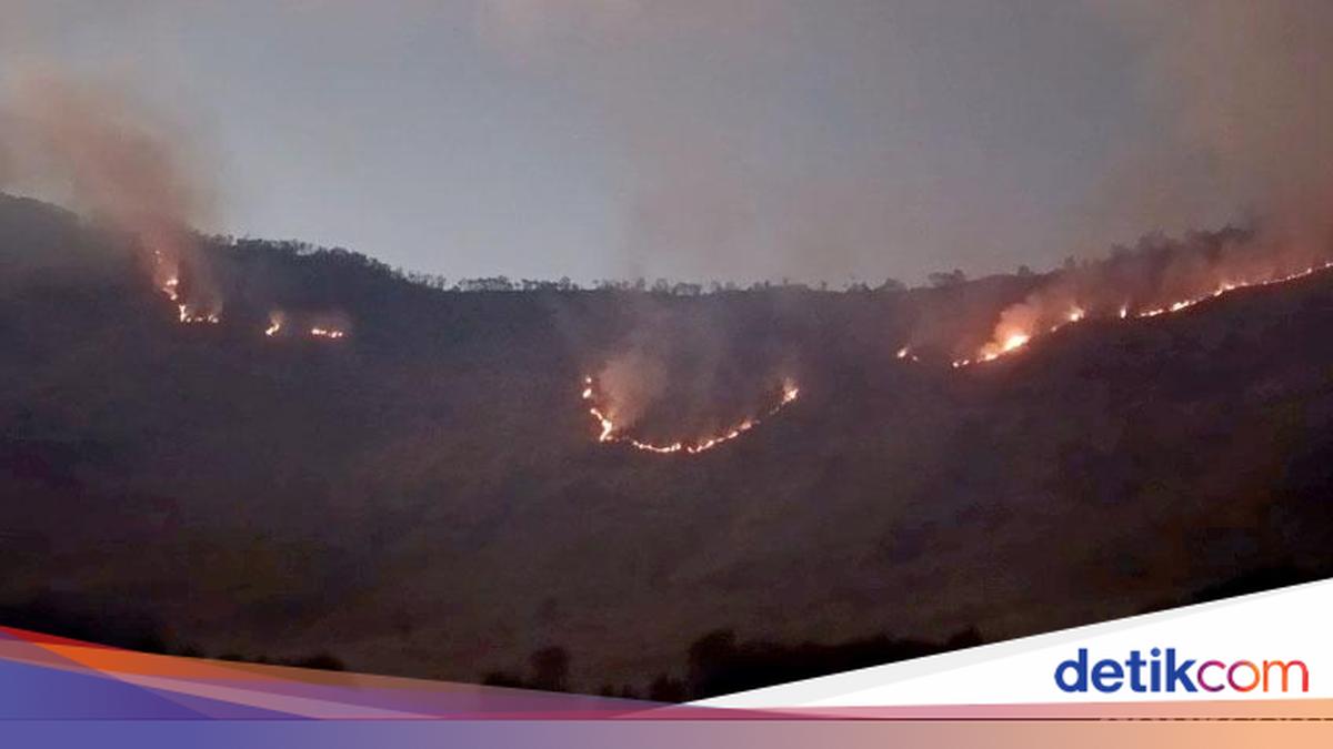 Forest Fire Spreads to Mount Bromo Savanna, Firebreaks Deployed