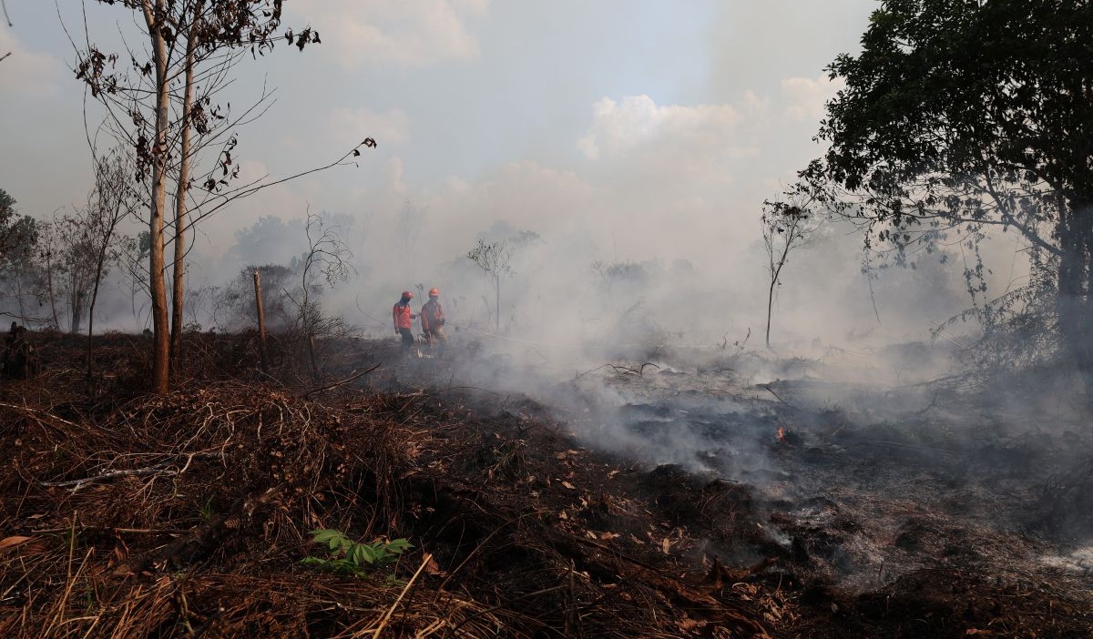 Forest and Land Fires Spread to 17 Regencies and Cities in West Java
