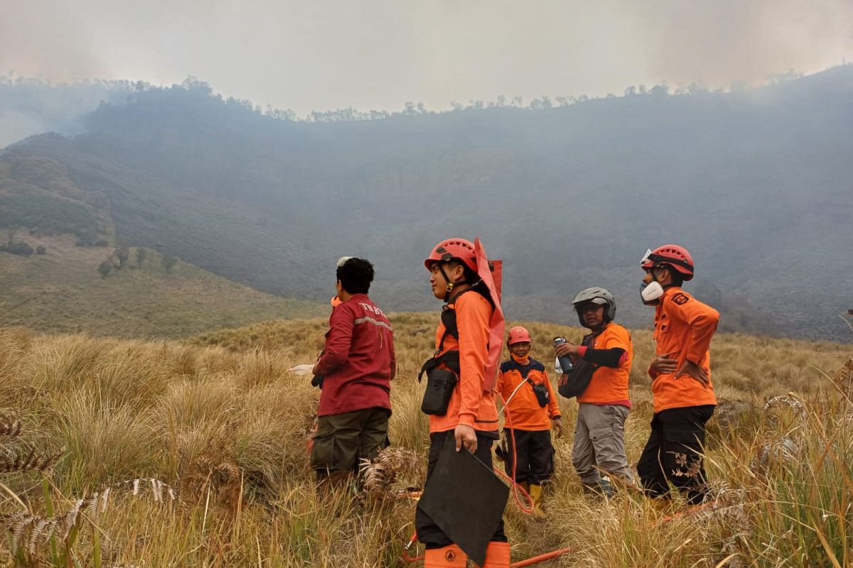 Probolinggo BPBD on Full Alert to Anticipate Mount Bromo Fire Spreading