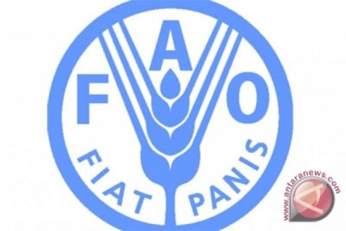 FAO Launches Anticipatory Measures in Somalia Ahead of El Niño-Fuelled Floods