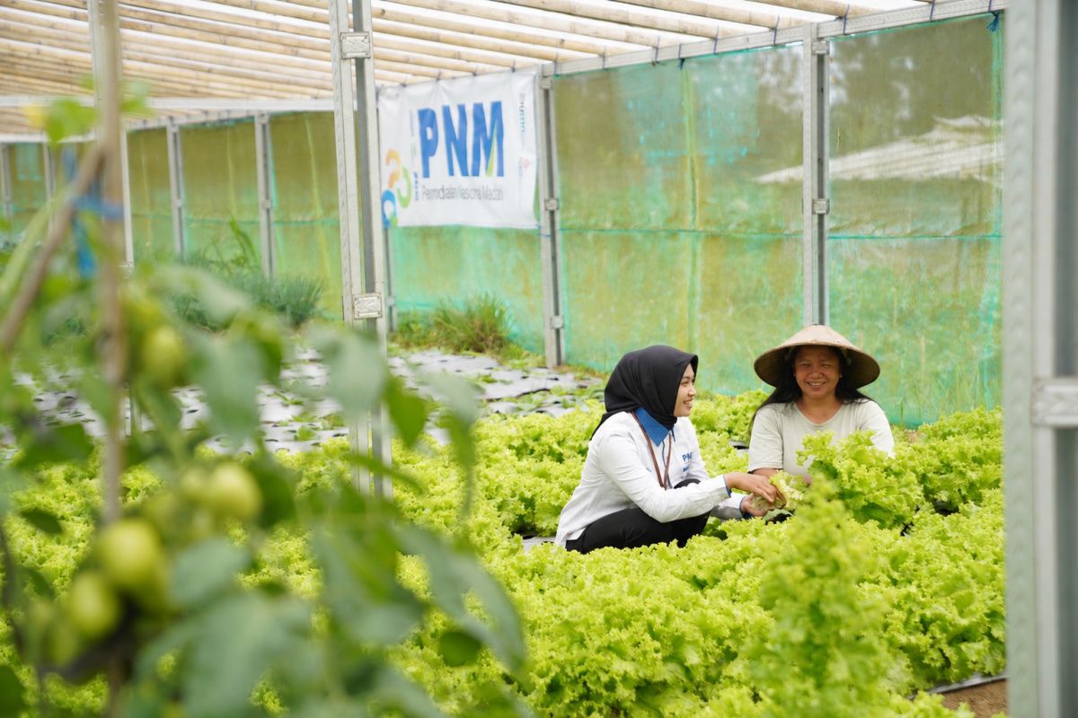 PNM Expands Financing Access to Frontier, Outermost, and Underdeveloped Regions