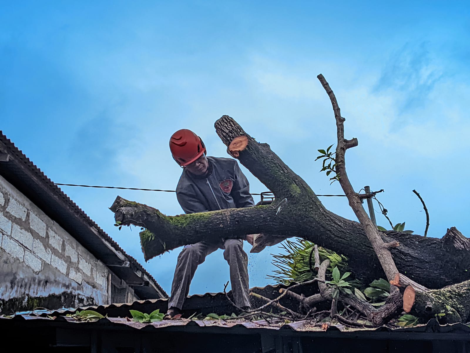 Extreme Weather Hits Padang, BPBD Evacuates Fallen Trees and Flood Victims