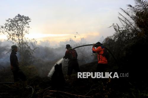 Ministry of Forestry Urges Forest Concession Holders to Bolster Fire Prevention Efforts