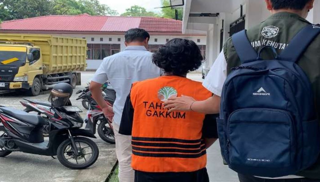 Three Suspects in Kerumutan Wildlife Reserve Illegal Logging Face 11 Years in Prison