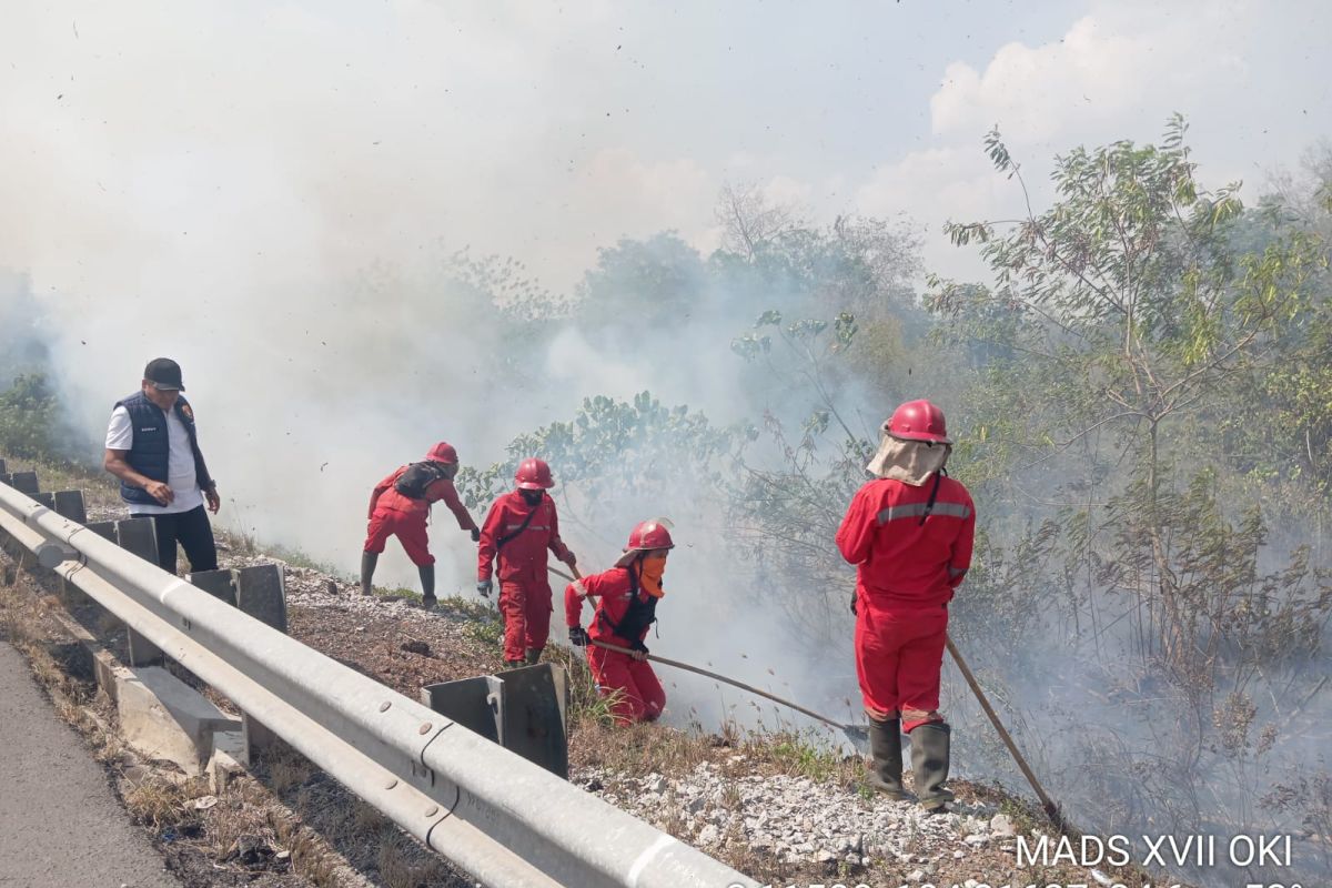 Manggala Agni tackles forest and land fire along Kayuagung-Palembang toll road