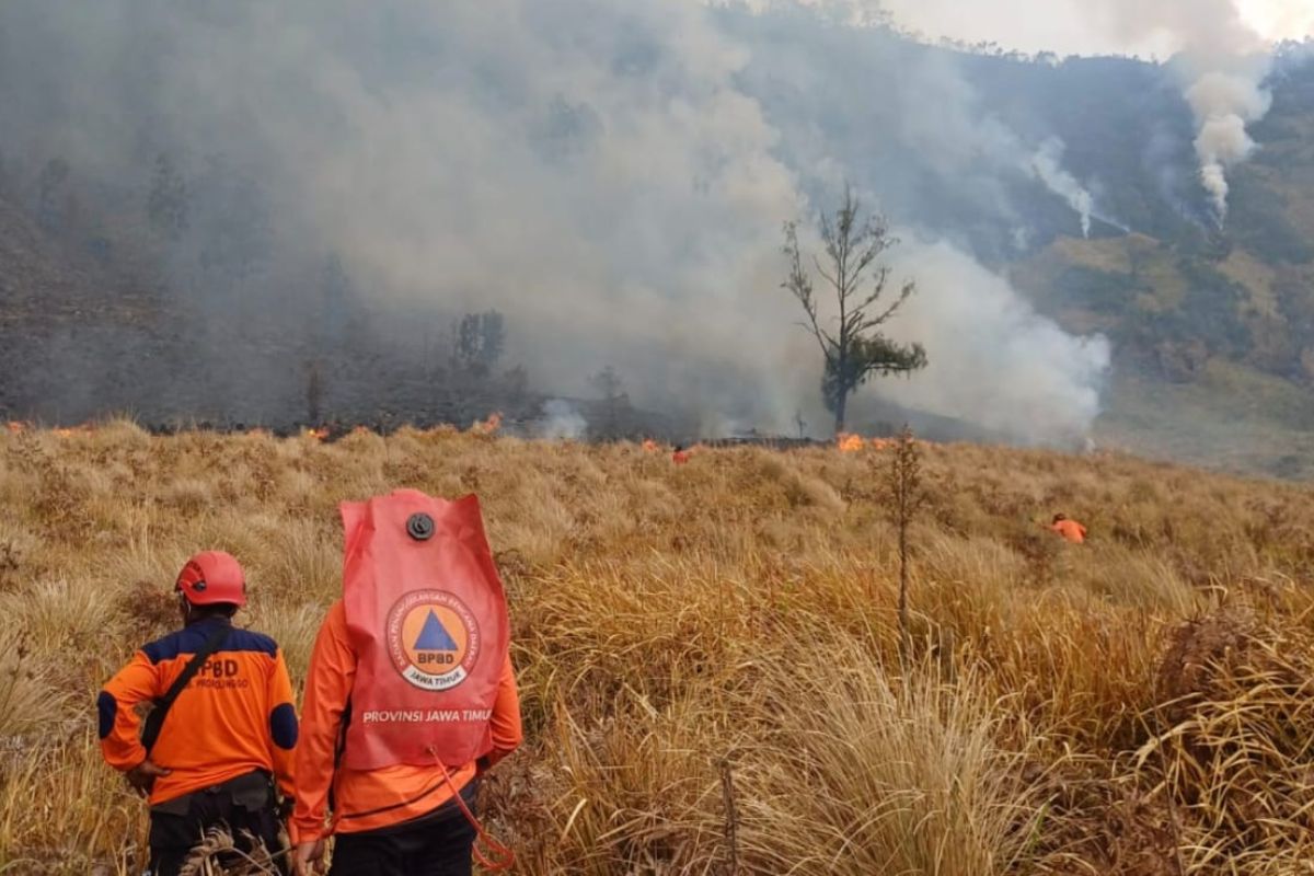 Bromo Forest Fire Spreads to Probolinggo, Reaches 7.9 Hectares
