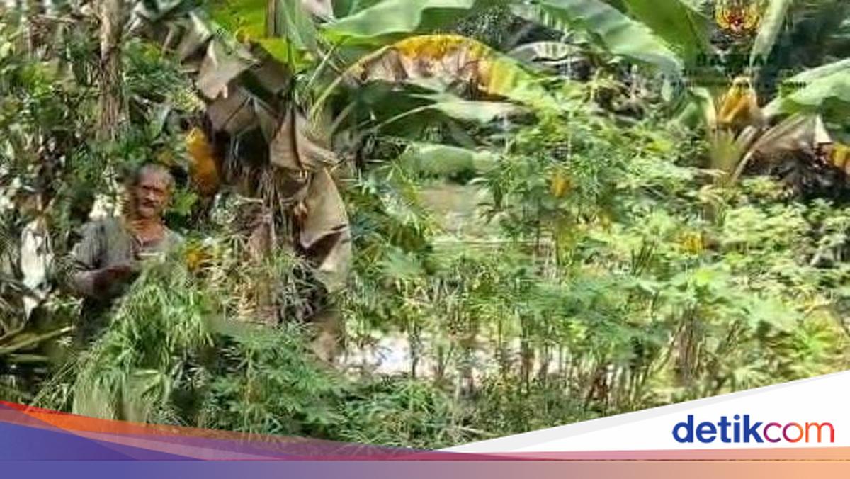 Jambi Corrections Office Partners with Baznas to Empower Inmates in Home Renovation