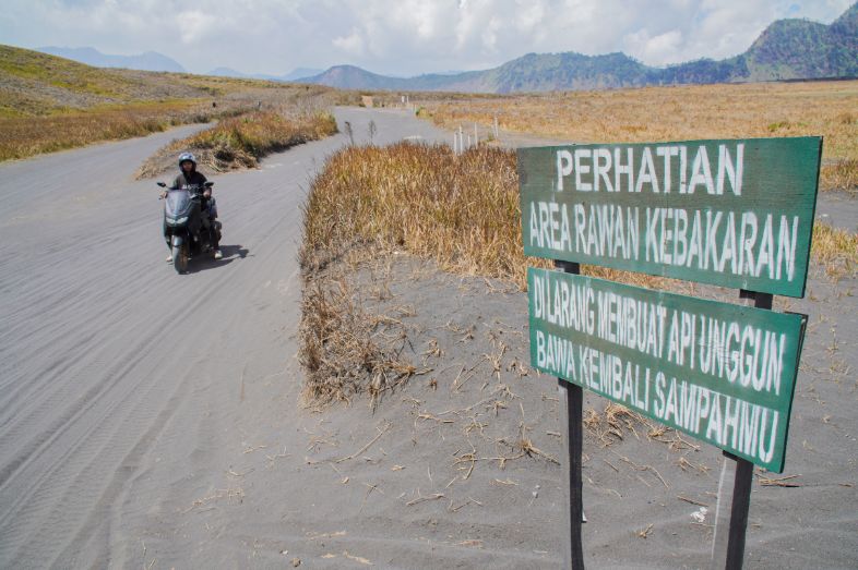 Joint Task Force on Full Alert at Mount Bromo's Bantengan Block to Prevent Forest Fires Spreading