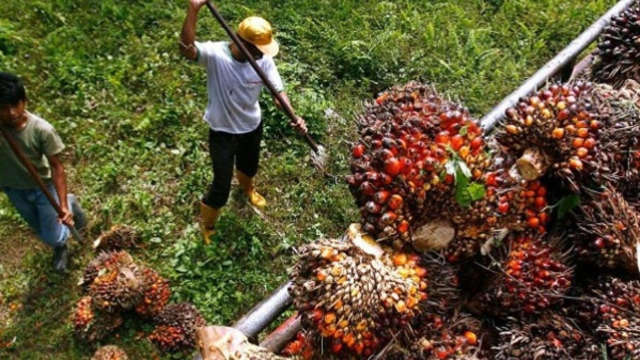 Strengthening Price Discovery Deemed Crucial for Building Domestic Commodity Reference Prices