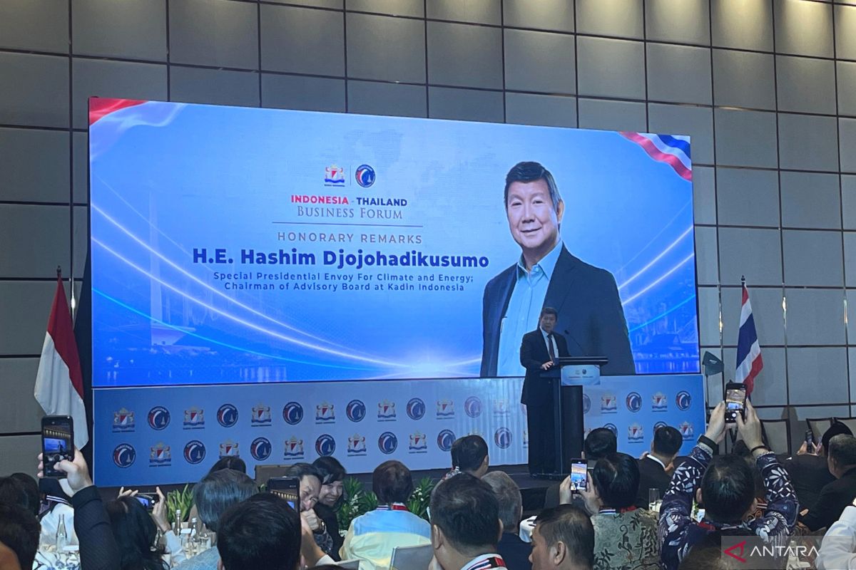 Hashim Affirms Indonesia as a Safe Country for Investment