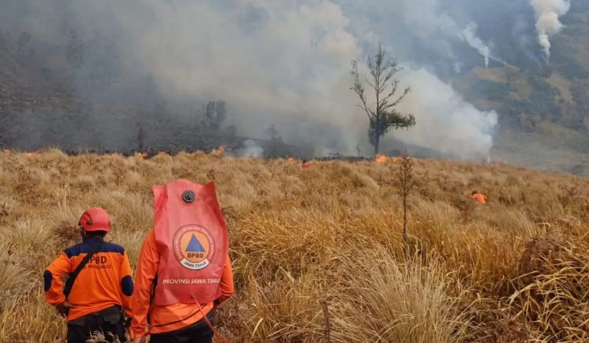Bromo Forest Fire Spreads to 7.9 Hectares, Tourist Access Closed