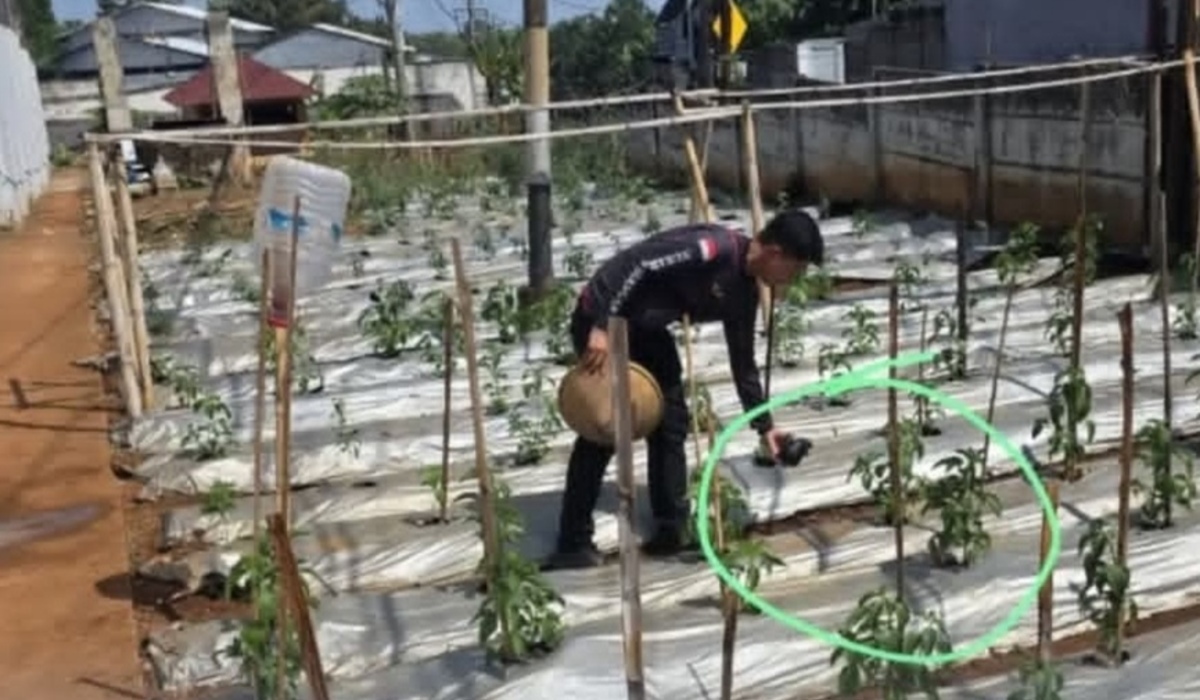 Drug Smuggling Attempt into Semarang Prison Foiled