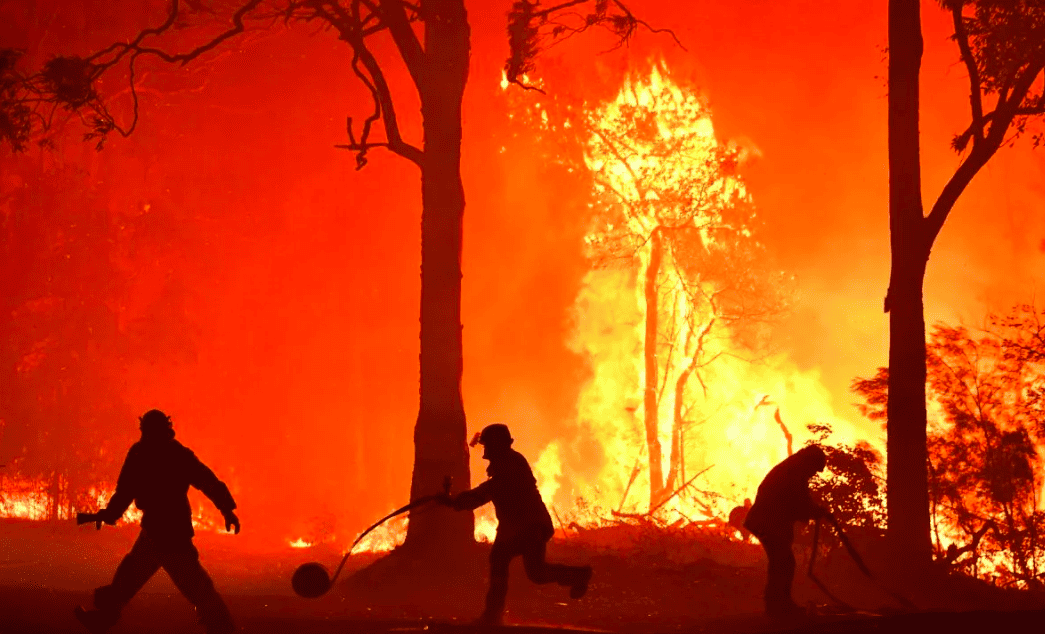 300 Hectares of Mount Soputan Protected Forest Destroyed by Fire