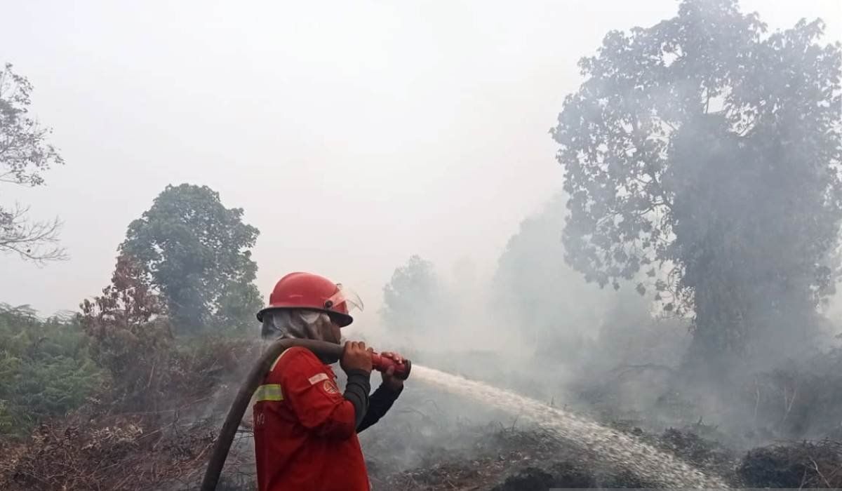 Forest and Land Fires in West Aceh Spread to 20.5 Hectares Across Six Districts