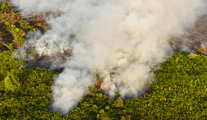 Klaten on Full Alert Against Forest and Land Fire Threats