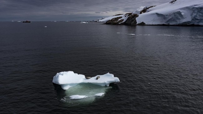 Human Remnants Found Buried Deep Beneath Antarctic Ice
