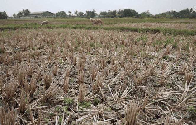 Tangerang Maps Drought-Prone Zones Across Eight Districts