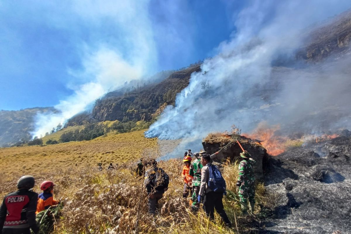 Bromo Wildfire Still Raging, Scorched Land Reaches 10 Hectares