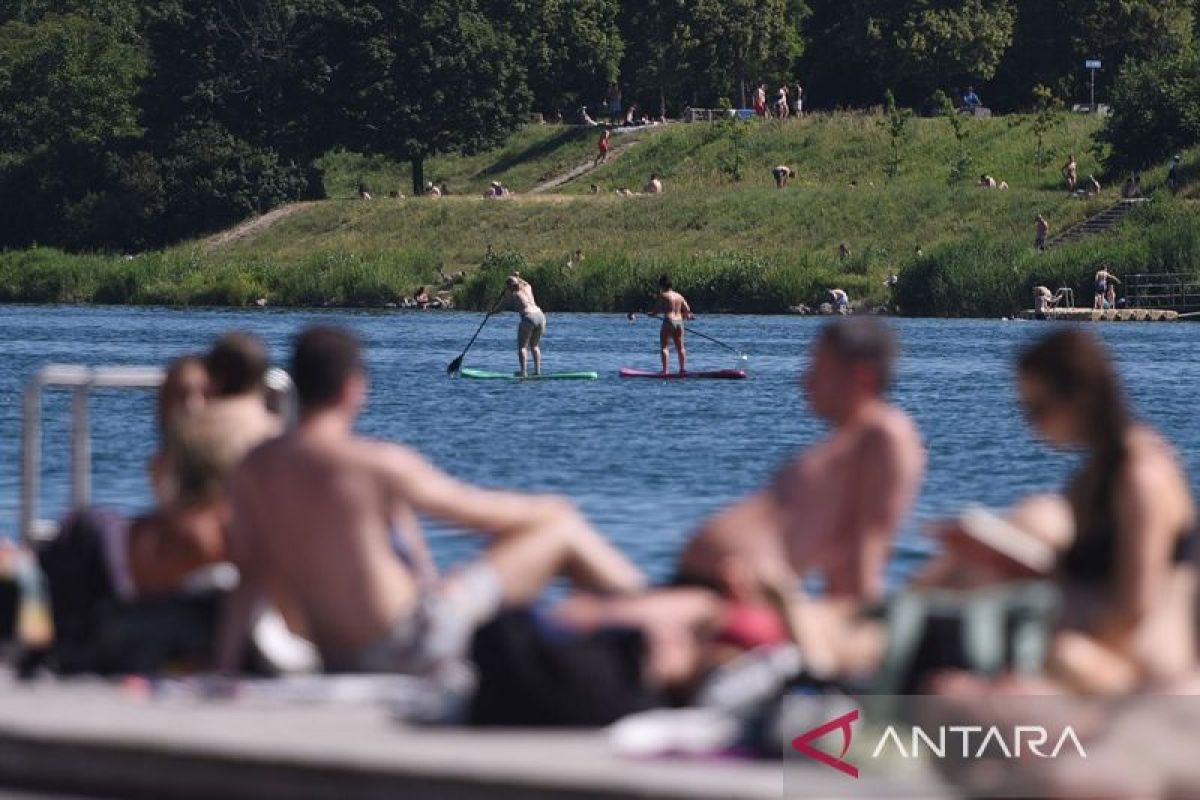 Extreme Heat Causes Danube Water Levels to Recede, Disrupting Cargo Shipping