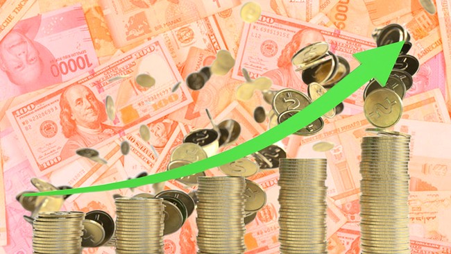Indonesia's Economy Maintains High Growth: A Five-Year Record