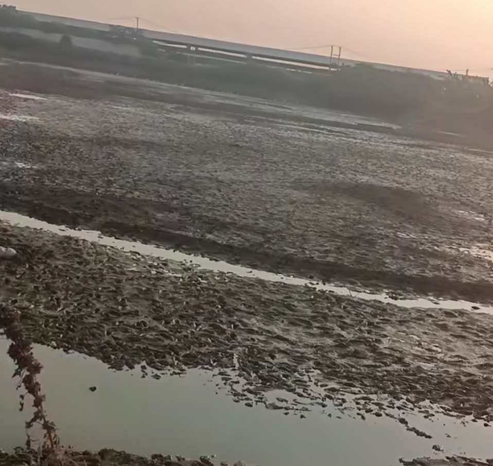Drought in Central Java Worsens, Thousands of Hectares of Rice Fields at Risk of Crop Failure