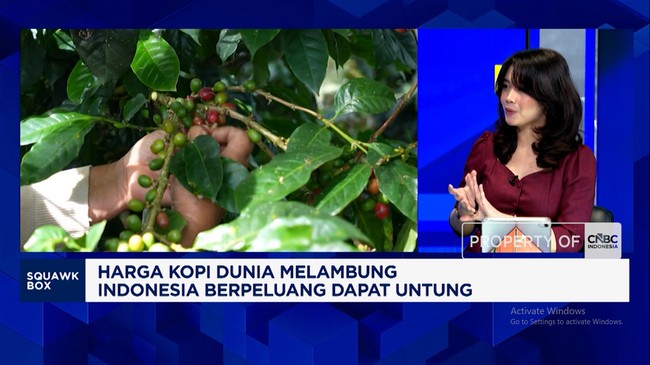 Indonesia's Potential to Capitalise on Soaring Global Coffee Prices