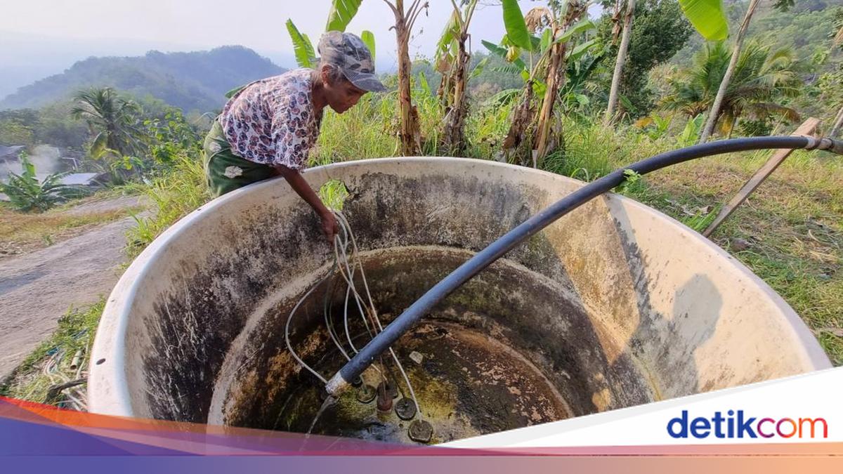 Bantul, Gunungkidul, and Kulon Progo Declared Red Zones for Meteorological Drought