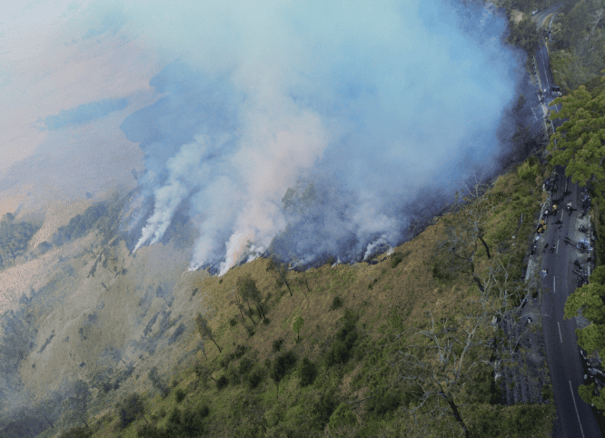 Bromo Fire Expands to 10 Hectares, Three Tourist Entrances Closed