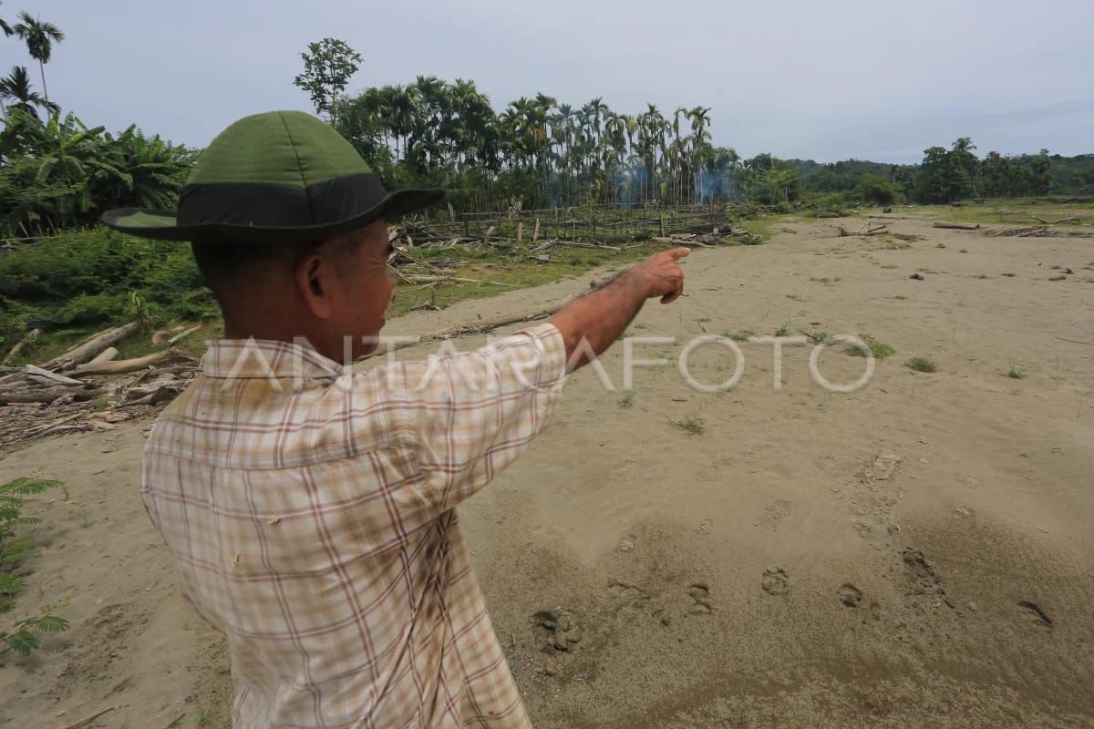 Governor Mualem Seeks Full Ministerial Support for Aceh's Agricultural Recovery