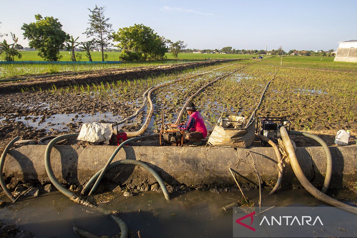 Safeguarding Food and Water Security