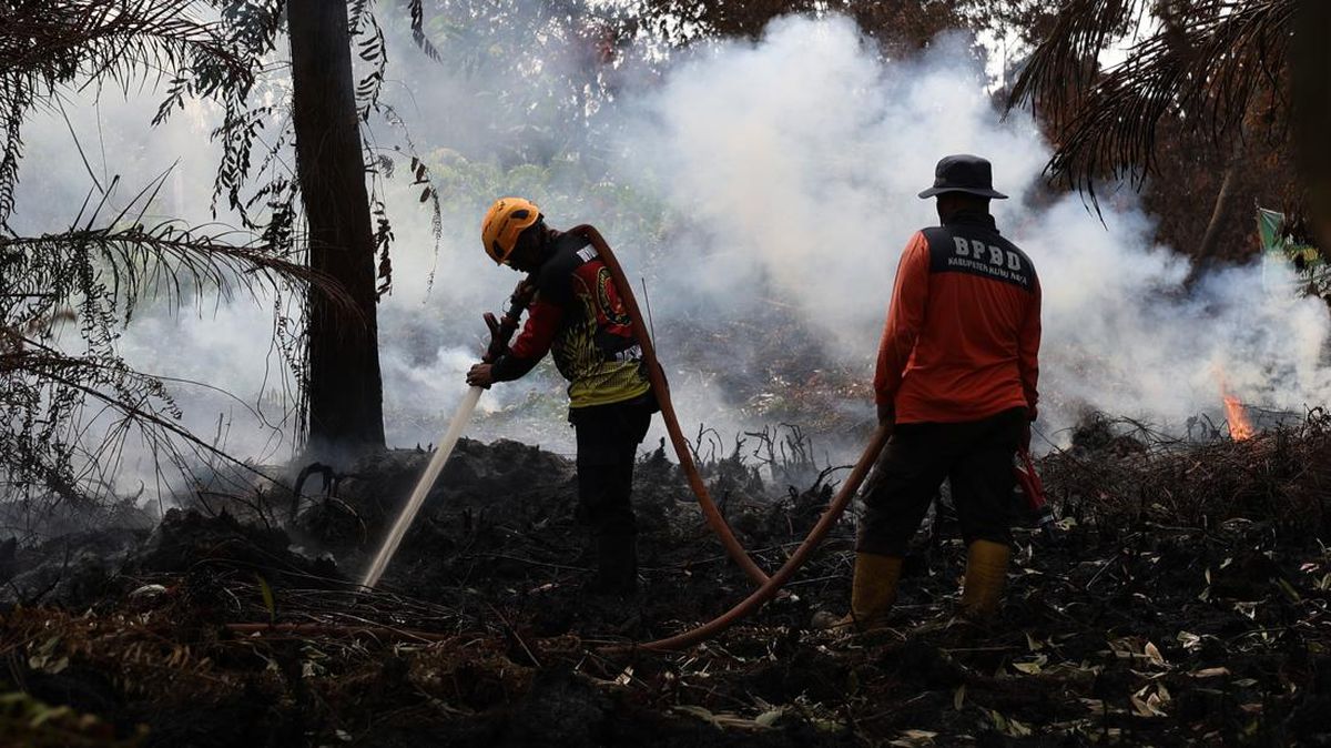 Forest and Land Fires in Ketapang, West Kalimantan: One Reported Dead