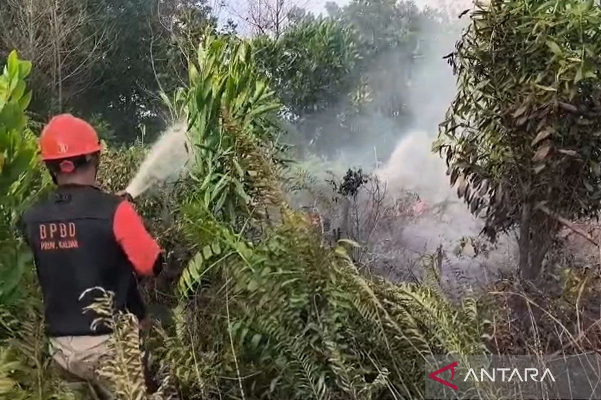 West Kalimantan BPBD faces obstacles in tackling forest fires in two regencies