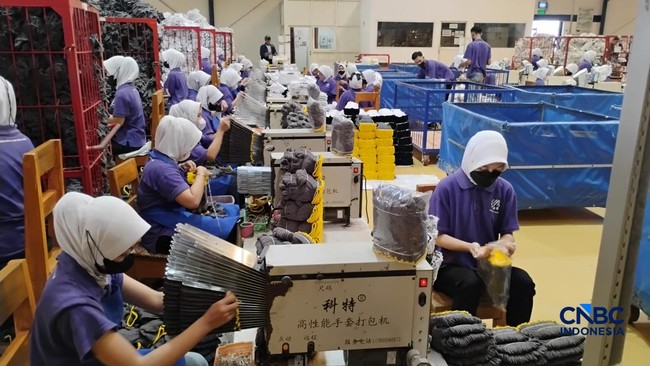 BPS Records Wage Increase, Highest in These 5 Business Sectors