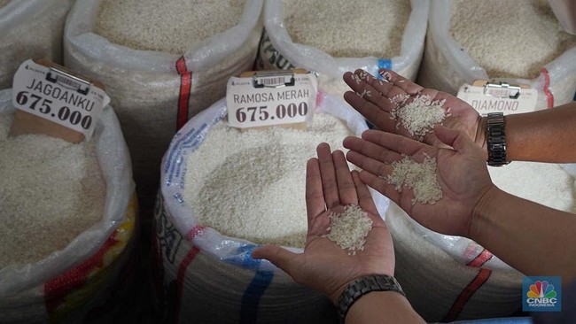 Trade Minister to Inspect Retailers After Fortified Rice Content Irregularities Found