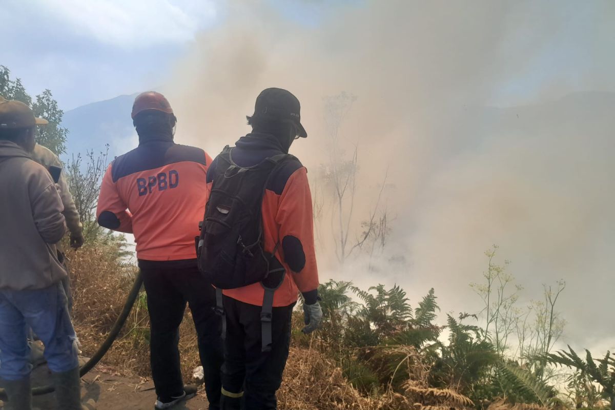 Bromo Fire Spreads Towards Malang, Three Tourist Access Routes Closed