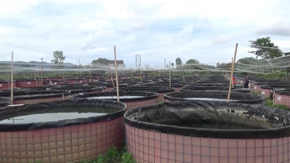 KKP to utilise village treasury land for thematic fish farming in Yogyakarta