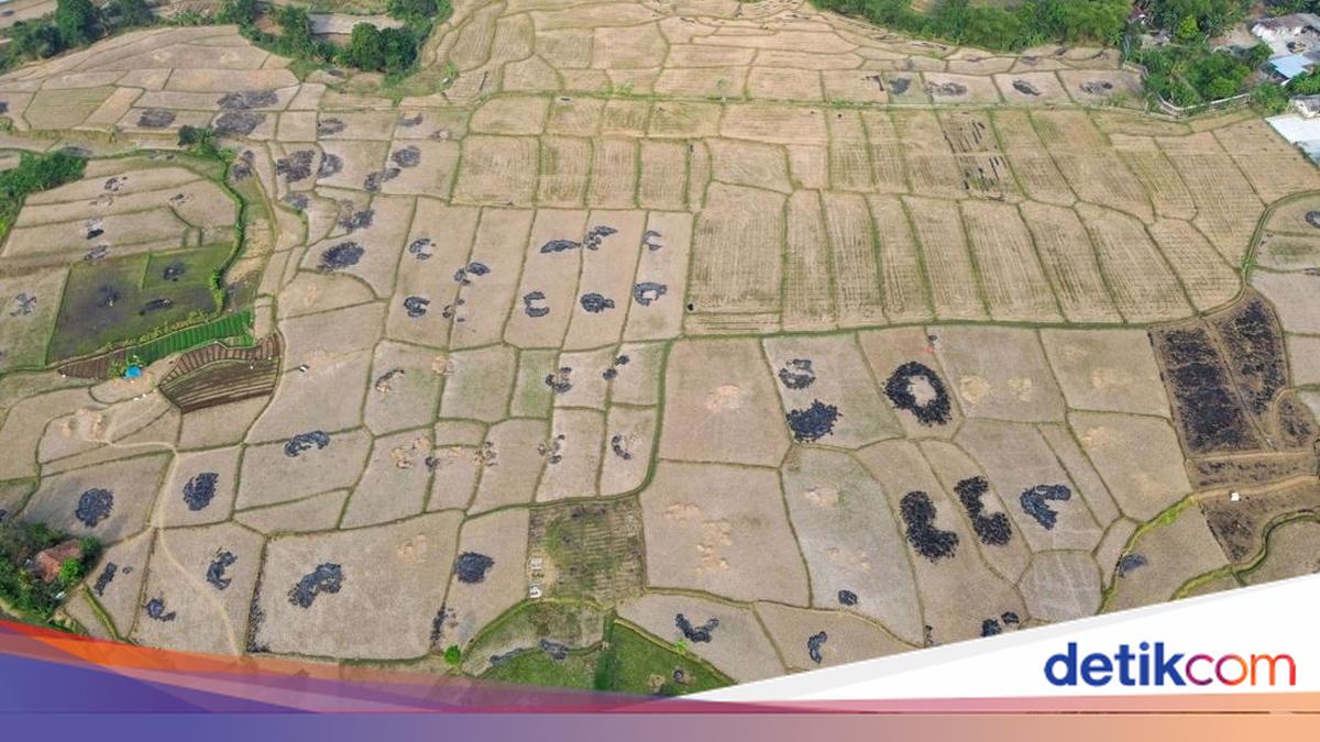 Cloud Seeding Becomes a Lifeline Amid Prolonged Dry Season